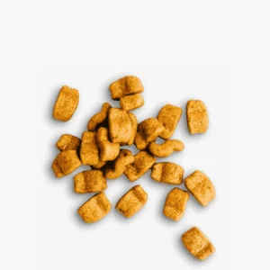 Dry Food for Adult Dogs