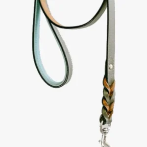 Anti Slip Padded Handle Leash